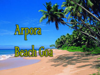 Arpora Beach Goa Images
